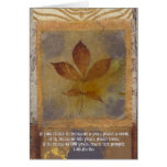Teach cards