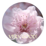TEACHER HOLIDAY GIFTS "Good" Classroom Stickers