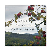 Teacher, you are the apple of my eye!