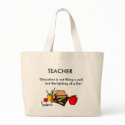 Teacher's Bag