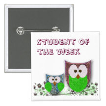 Teachers' customisable owl badge pins