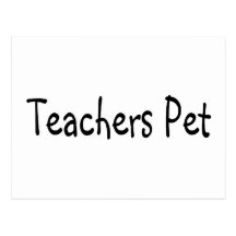Teachers Pet Postcard