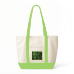 'Teachers plant seeds that grow forever' tote bags
