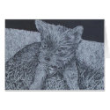 teacup yorkie cards