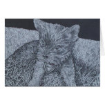 teacup yorkie cards