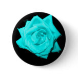 Teal aqua coloured rose solid black background buttons