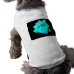 Teal aqua coloured rose solid black background pet clothing