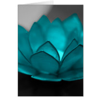 Teal Lotus