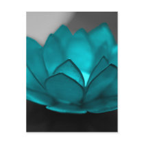 Teal Lotus
