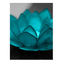 Teal Lotus Postcard