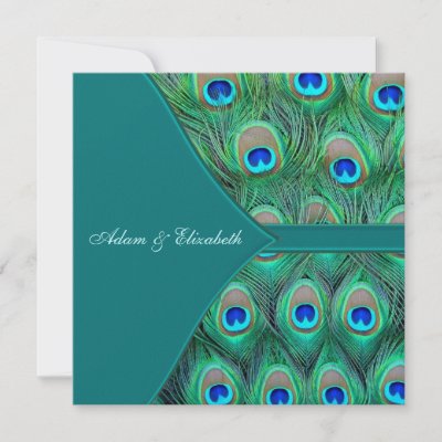 Teal Peacock Wedding Invitations by WeddingCentral