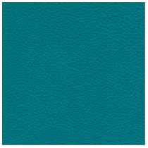 Teal Printed Pattern. Green Blue. Acrylic Cut Outs