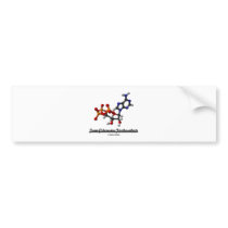 Team Adenosine Triphosphate (ATP)