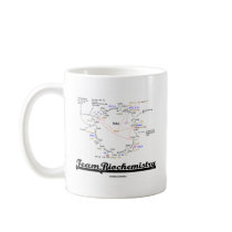 Team Biochemistry (Krebs Cycle Citric Acid Cycle)