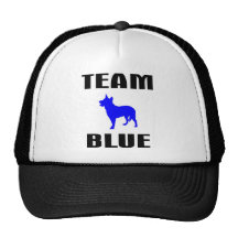 Team Blue Trucker Hats