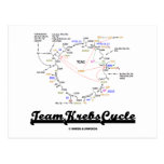 Team Krebs Cycle (Citric Acid Cycle - TCAC) Post Cards