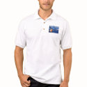 Team new Zealand , America's Cup , Valencia, Spain t-shirts