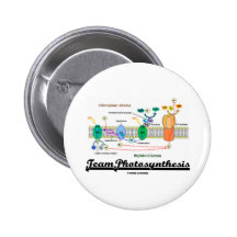 Team Photosynthesis (Light-Dependant Reactions) Buttons