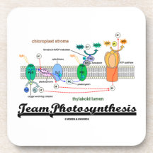Team Photosynthesis (Light-Dependent Reactions) Coaster