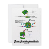 Team Protein Synthesis (Biology)