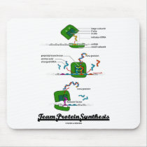 Team Protein Synthesis (Biology)