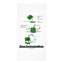 Team Protein Synthesis (Biology)