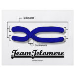 Team Telomere (Biology Humour) flyers