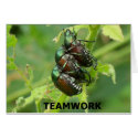 Teamwork Card