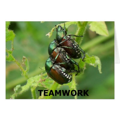 Teamwork Card by boris01
