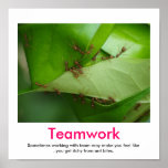 TEAMWORK demotivational poster posters