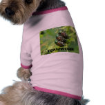 TEAMWORK pet clothing