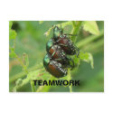 TEAMWORK Postcard