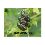 TEAMWORK Postcard
