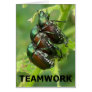 Teamwork - Vertical