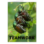 Teamwork - Vertical cards