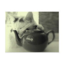 Teapot Pillow Post Card