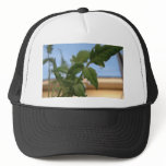 TEAR DROP TRUCKER HAT