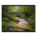 Tears of nature photo art