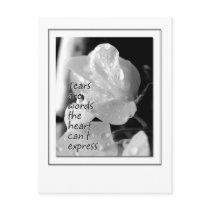 Tears Post Cards