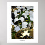 TEATIME Poster