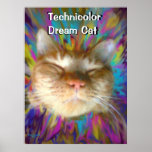 Technicolor Dream Cat Poster