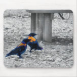 Technicolour crows mousepads