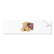 teddy bear and vintage old suitcase with world sti bumper stickers