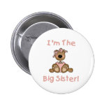 Teddy Bear Big Sister Pin