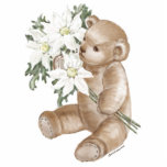 Teddy Bear Daisy Bouquet Photo Cut Outs