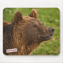 Teddy bear mousepads