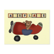 Teddy Bear Pilot Tshirts and Gifts
