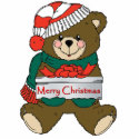 Teddy Bear With Gift Ornament photo sculptures