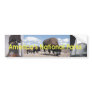 TEE America's National Parks Bumper Stickers