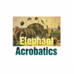 TEE Elephant Acrobatics photo sculptures